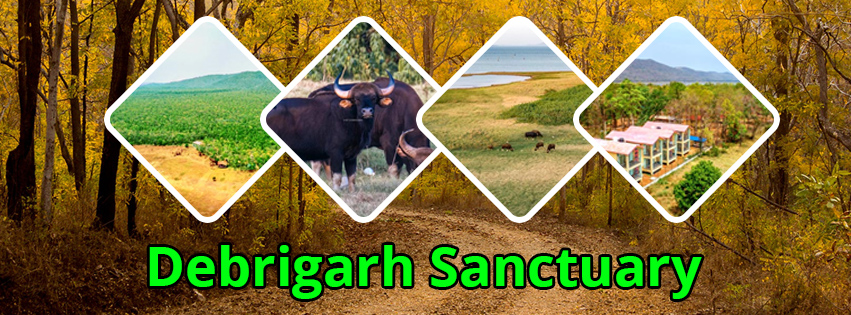 Debrigarh Sanctuary