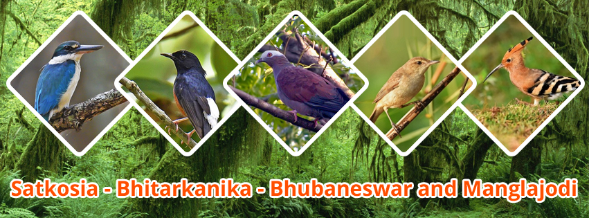 Satkosia - Bhitarkanika - Bhubaneswar and Manglajodi