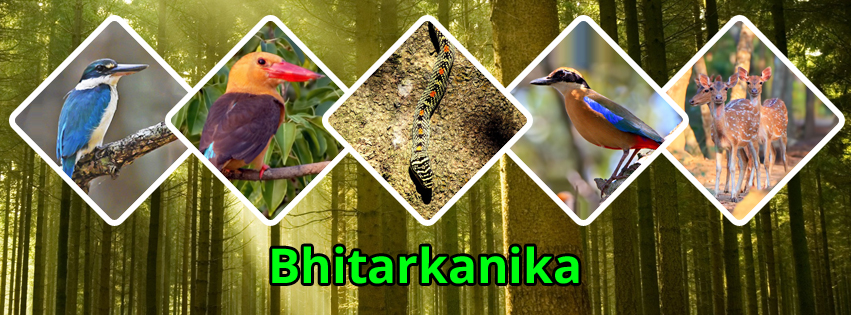 BHITARKANIKA