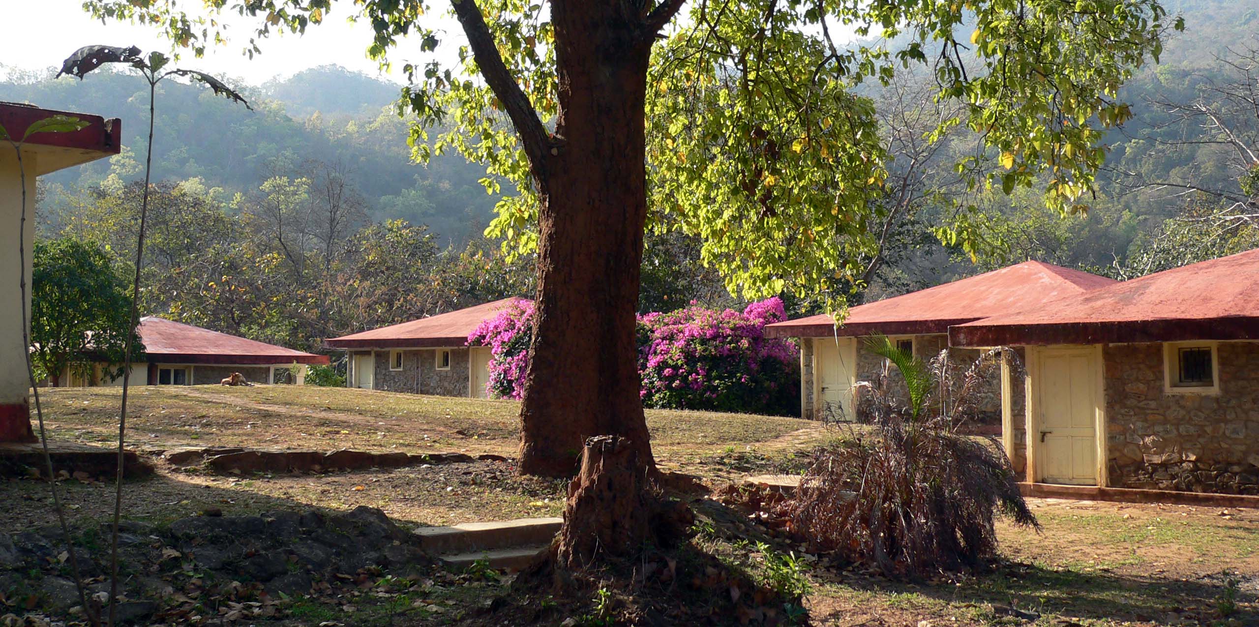 Aranya Nivas Nature Camp Similipal Baripada